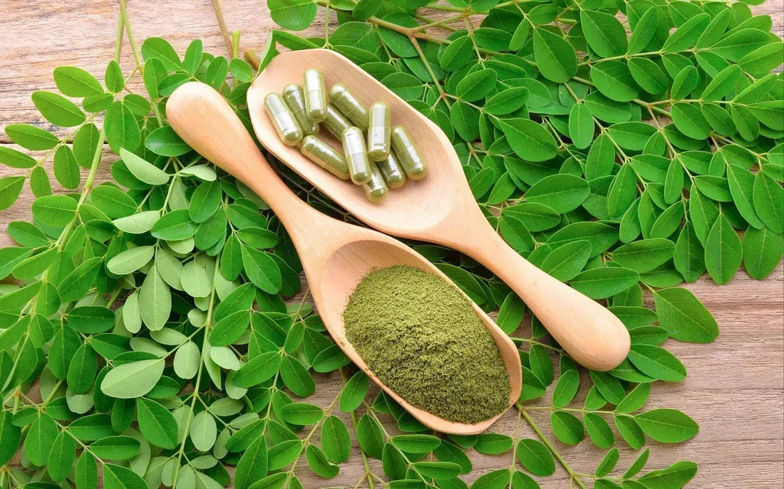 Moringa et perte de poids