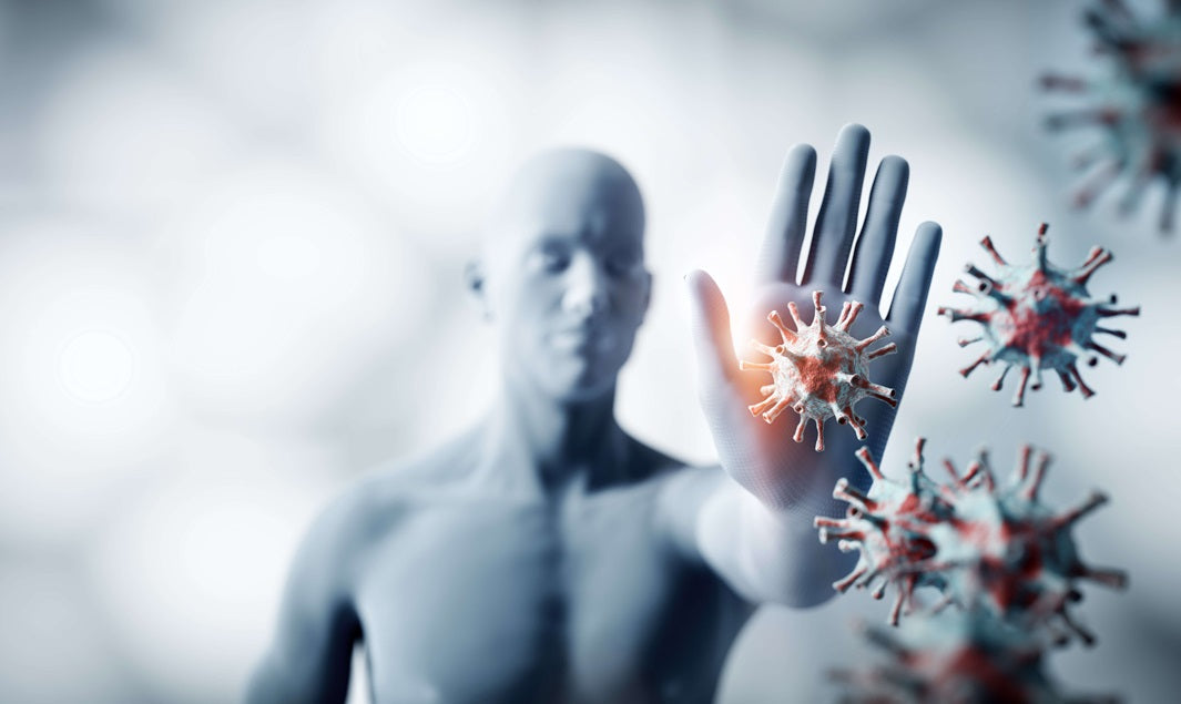 Mélatonine et système immunitaire : ce que révèle la science