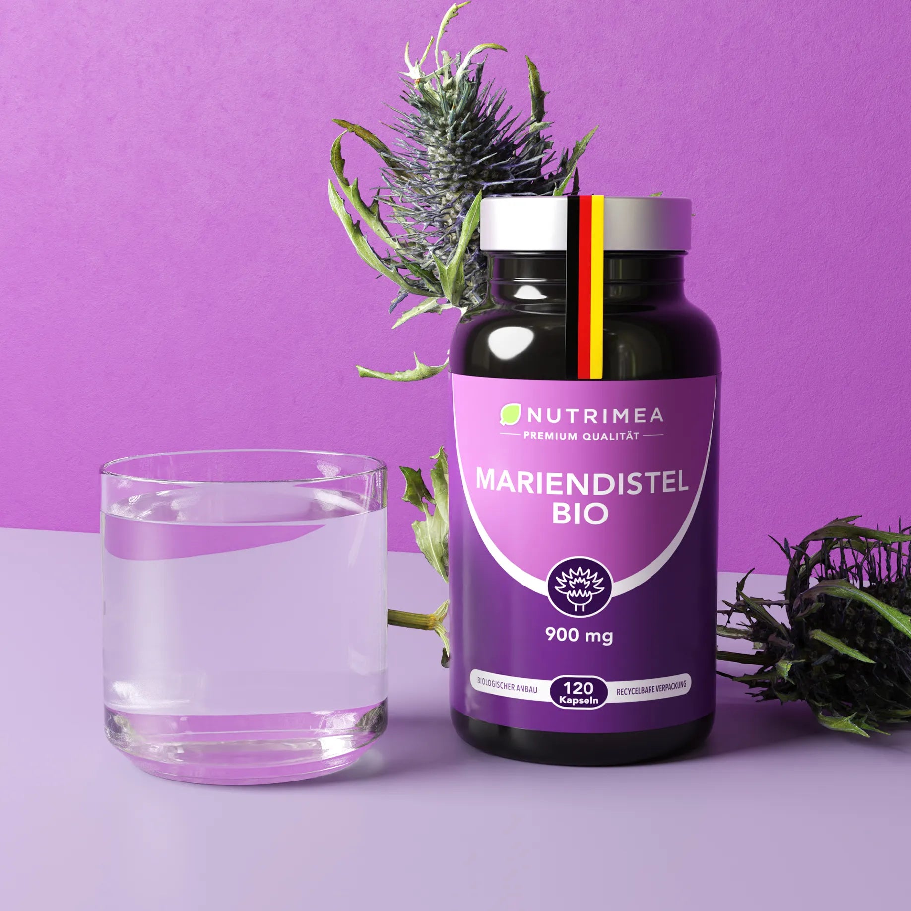 DETOX Mariendistel BIO