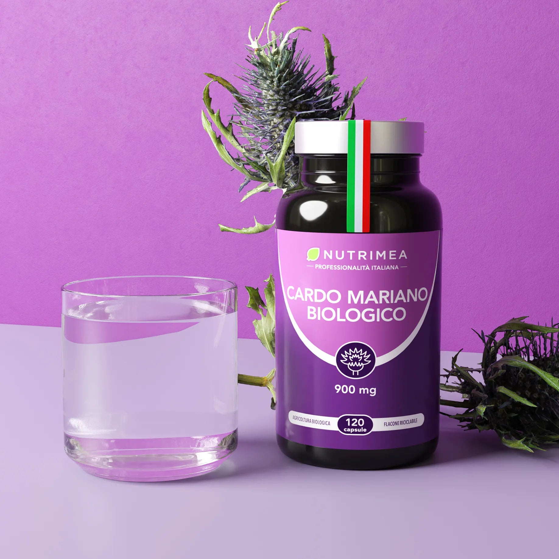 Cardo Mariano Biologico