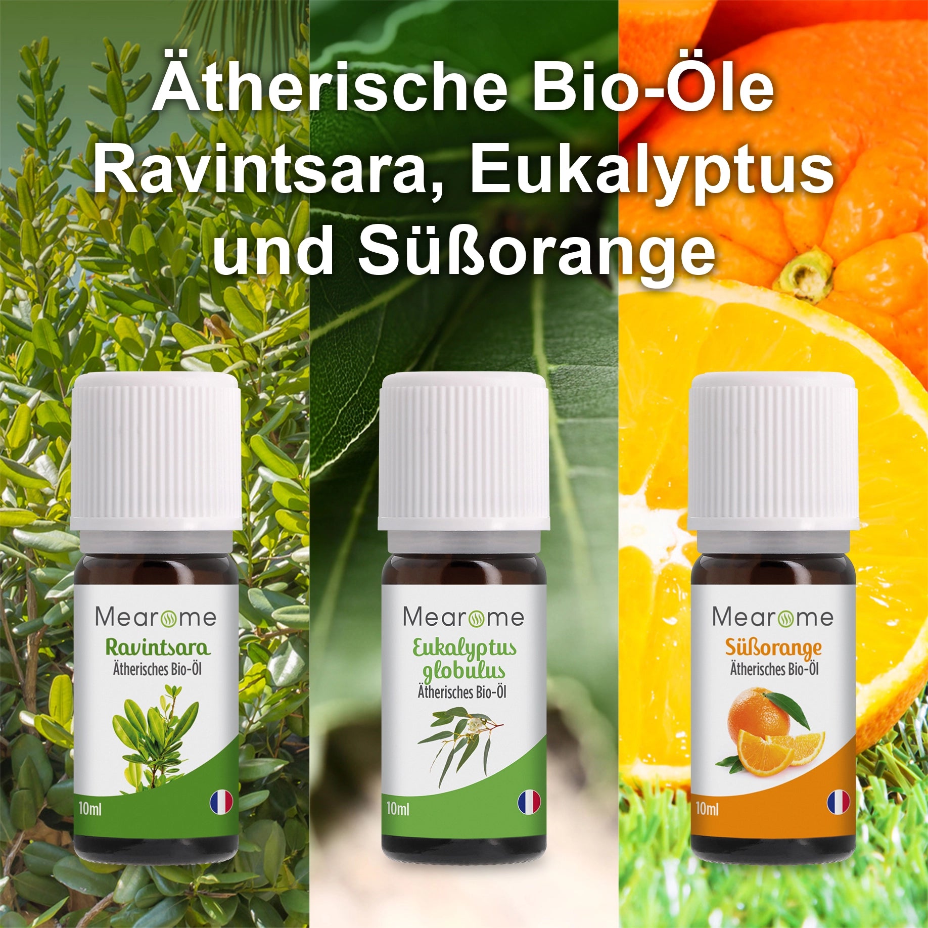Aromatherapie Geschenk-Set - 8 Ätherische Öle 100% BIO