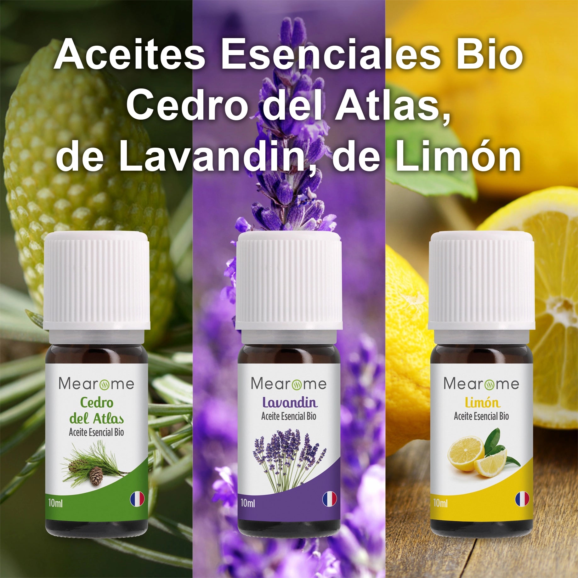 Set de 8 aceites esenciales Bio