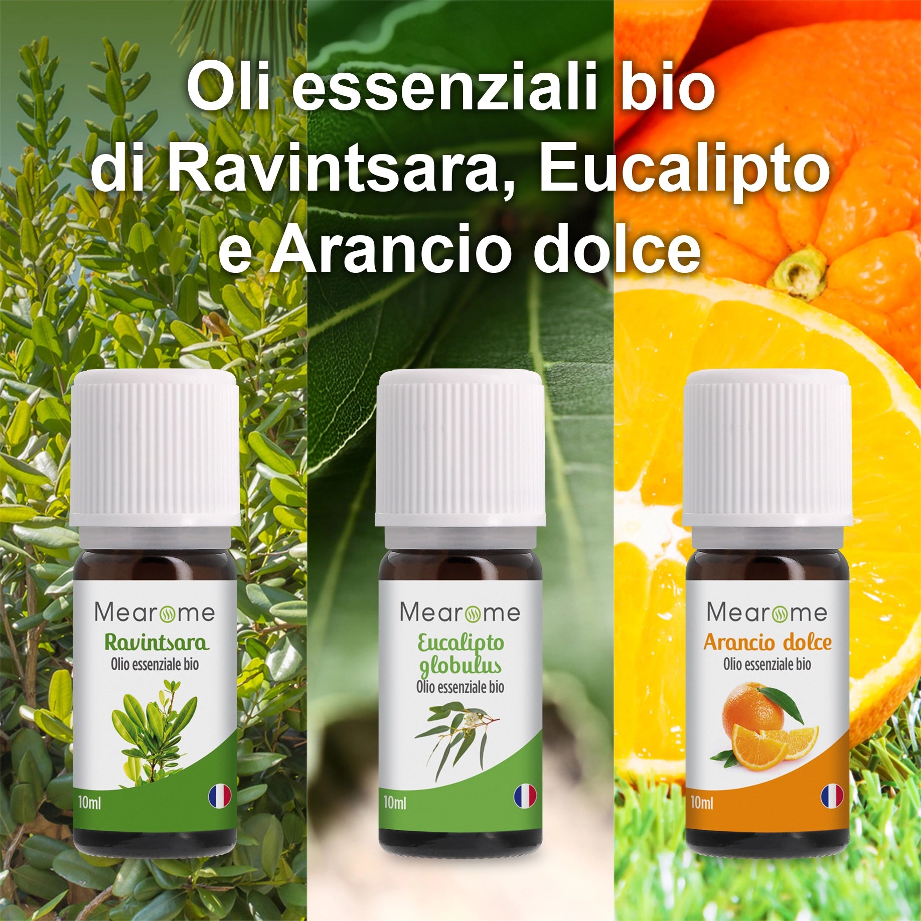 Cofanetto Oli Essenziali