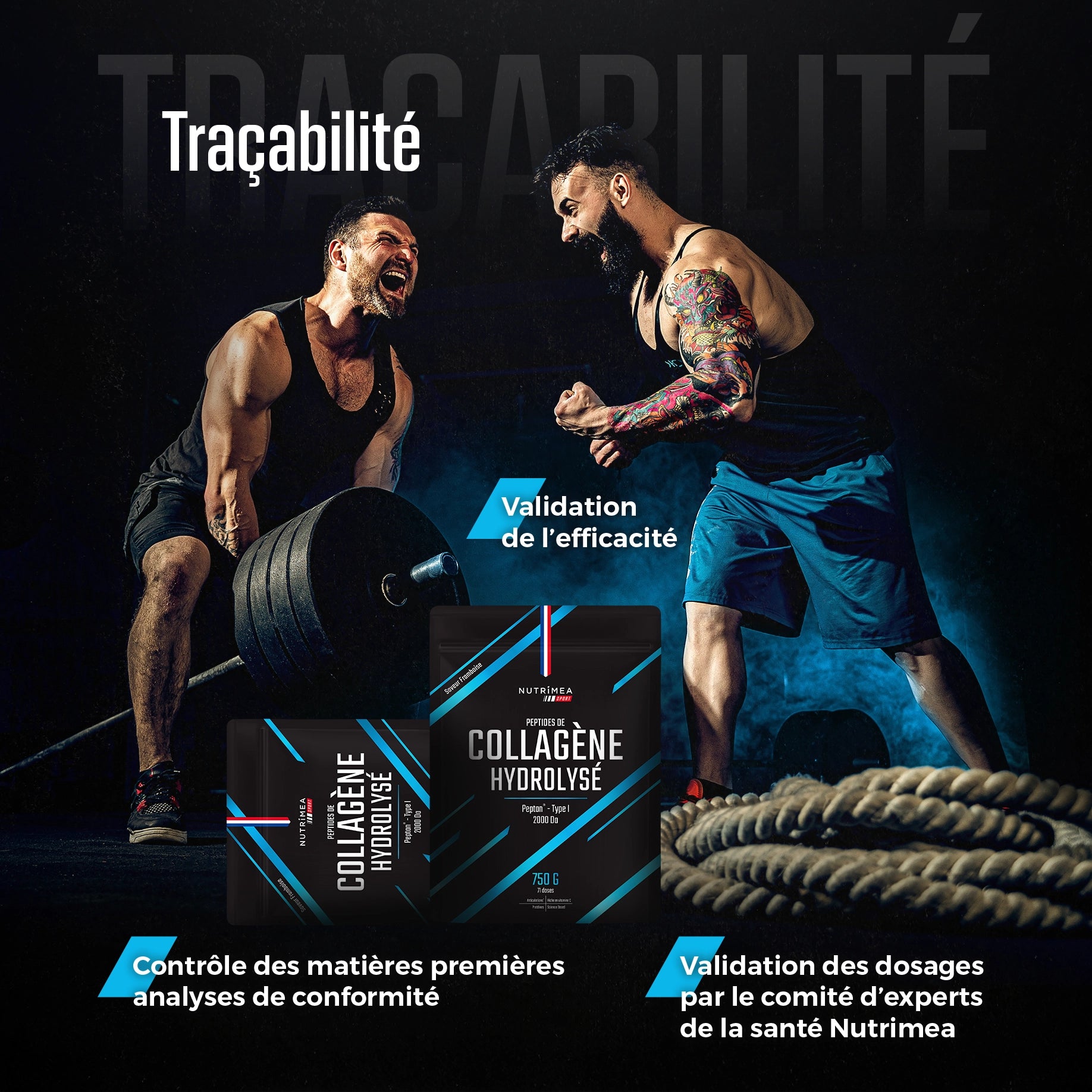 Peptides de collagène hydrolysé