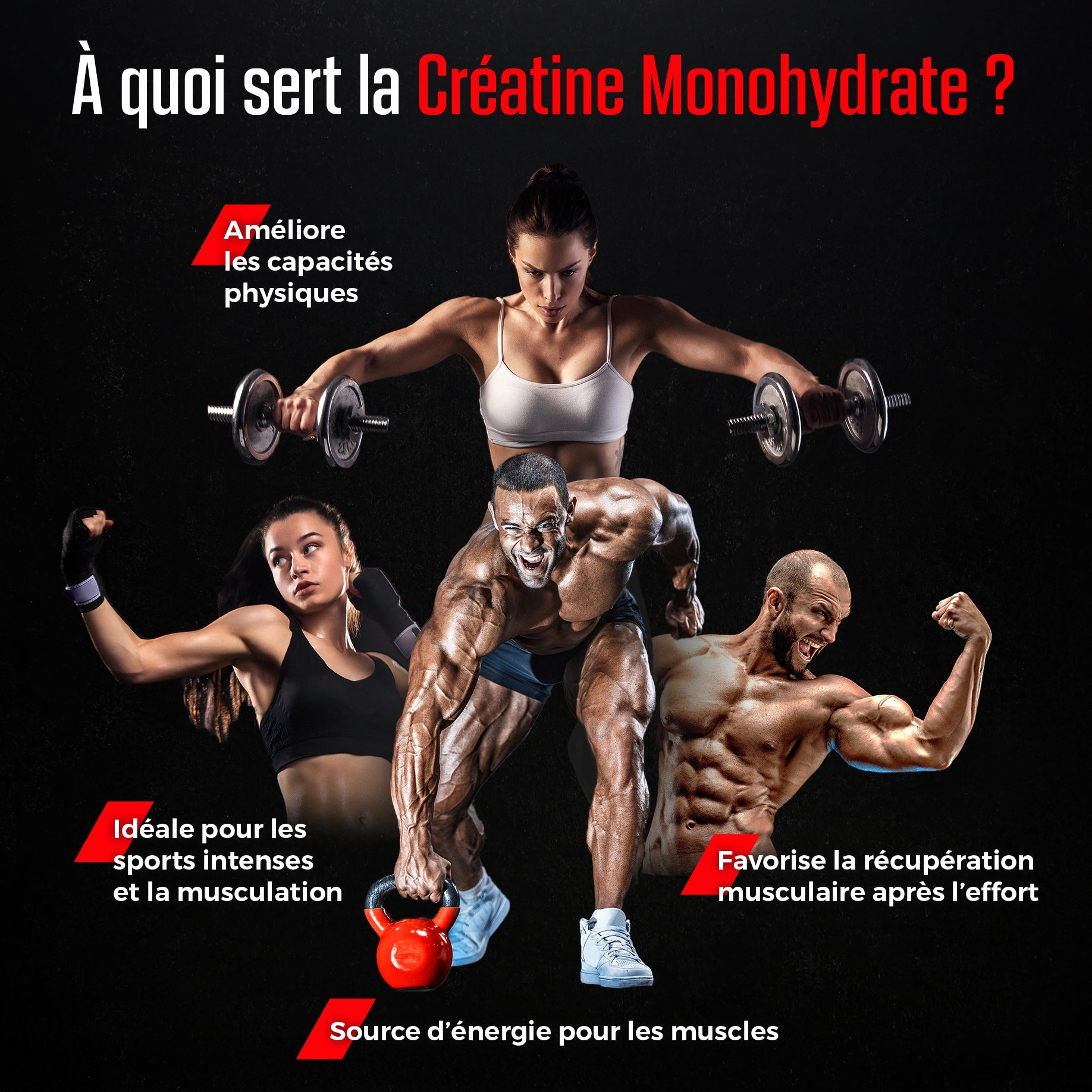 Créatine Monohydrate Creapure® en Poudre