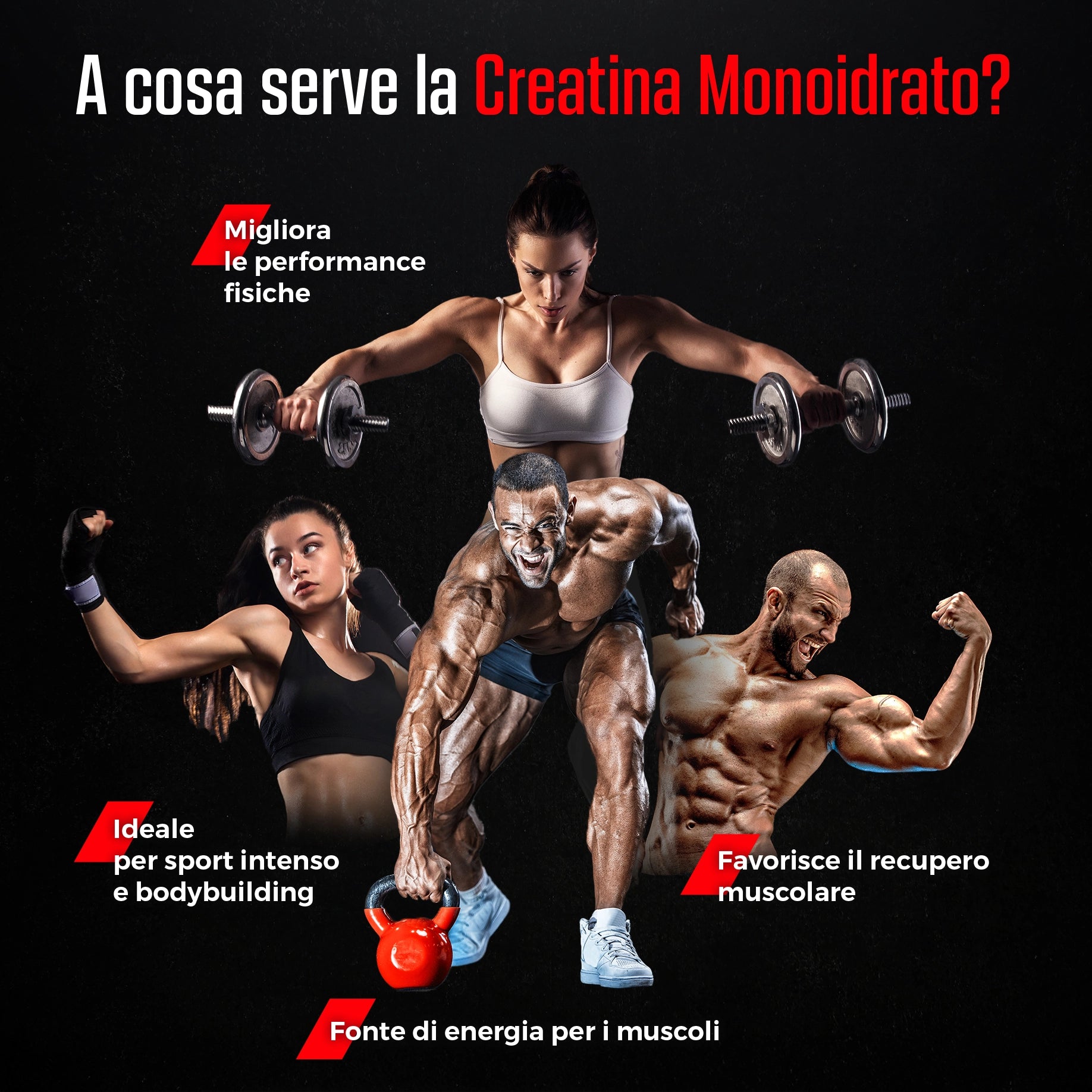 Creatina Monoidrato Creapure® in Polvere