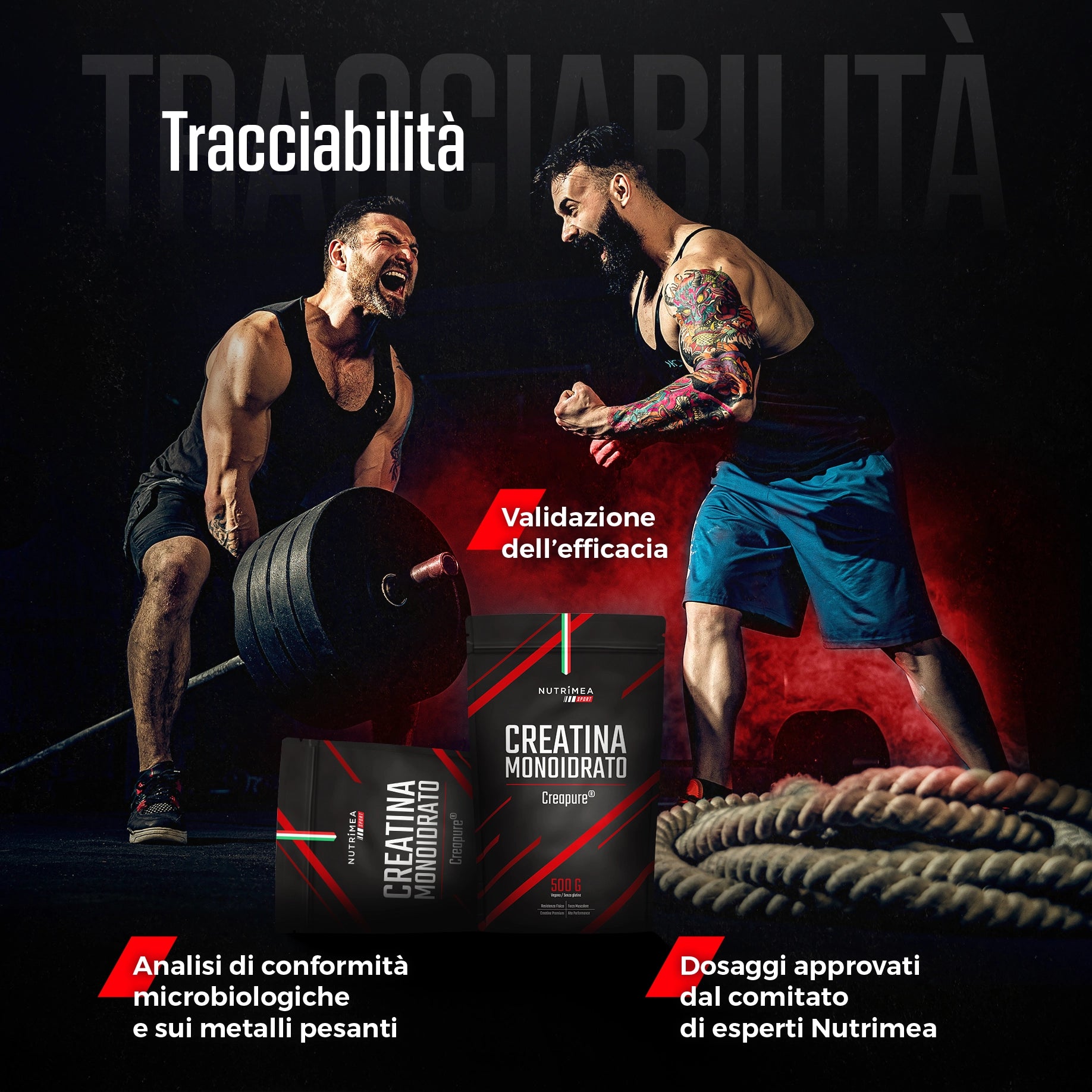 Creatina Monoidrato Creapure® in Polvere