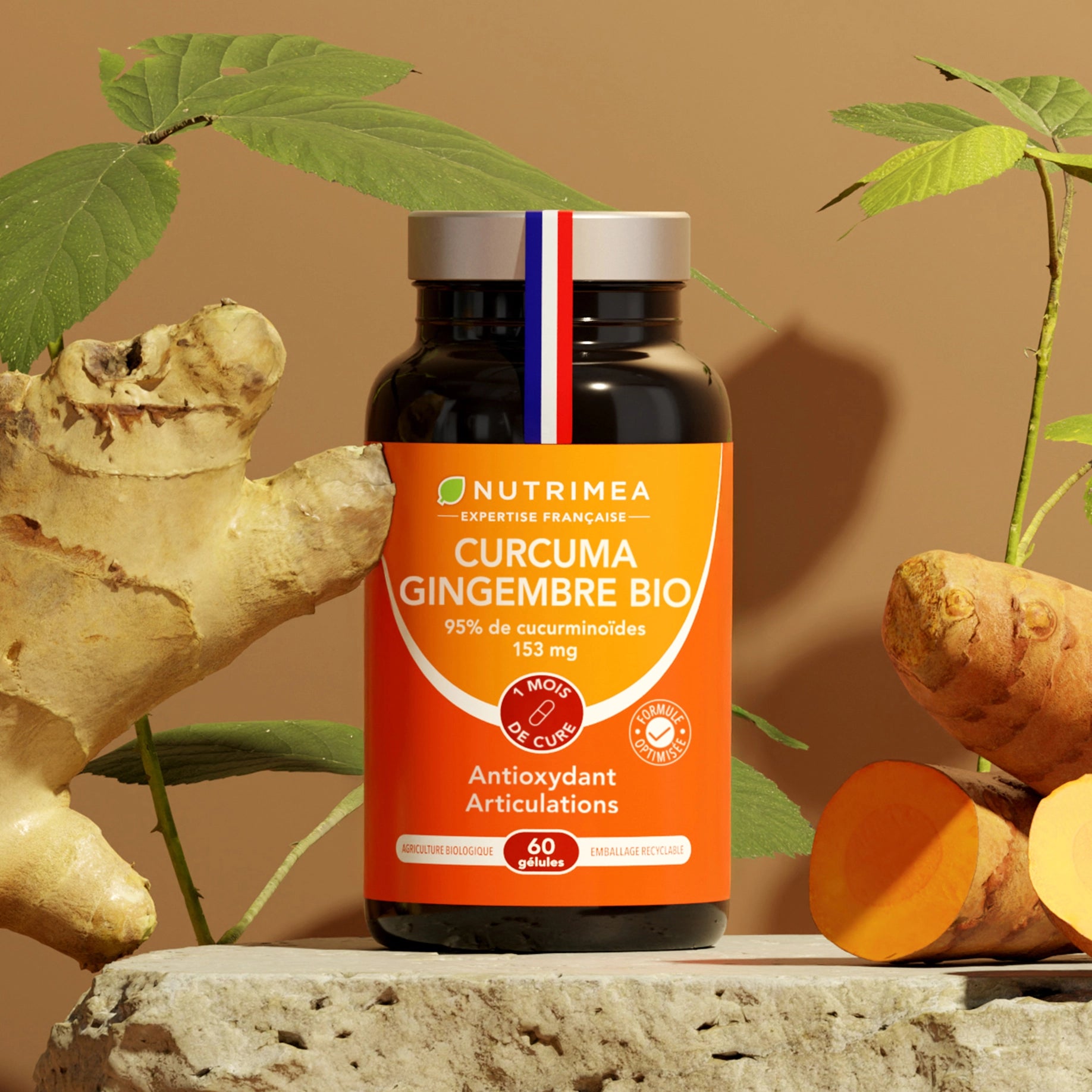 Curcuma Gingembre Bio