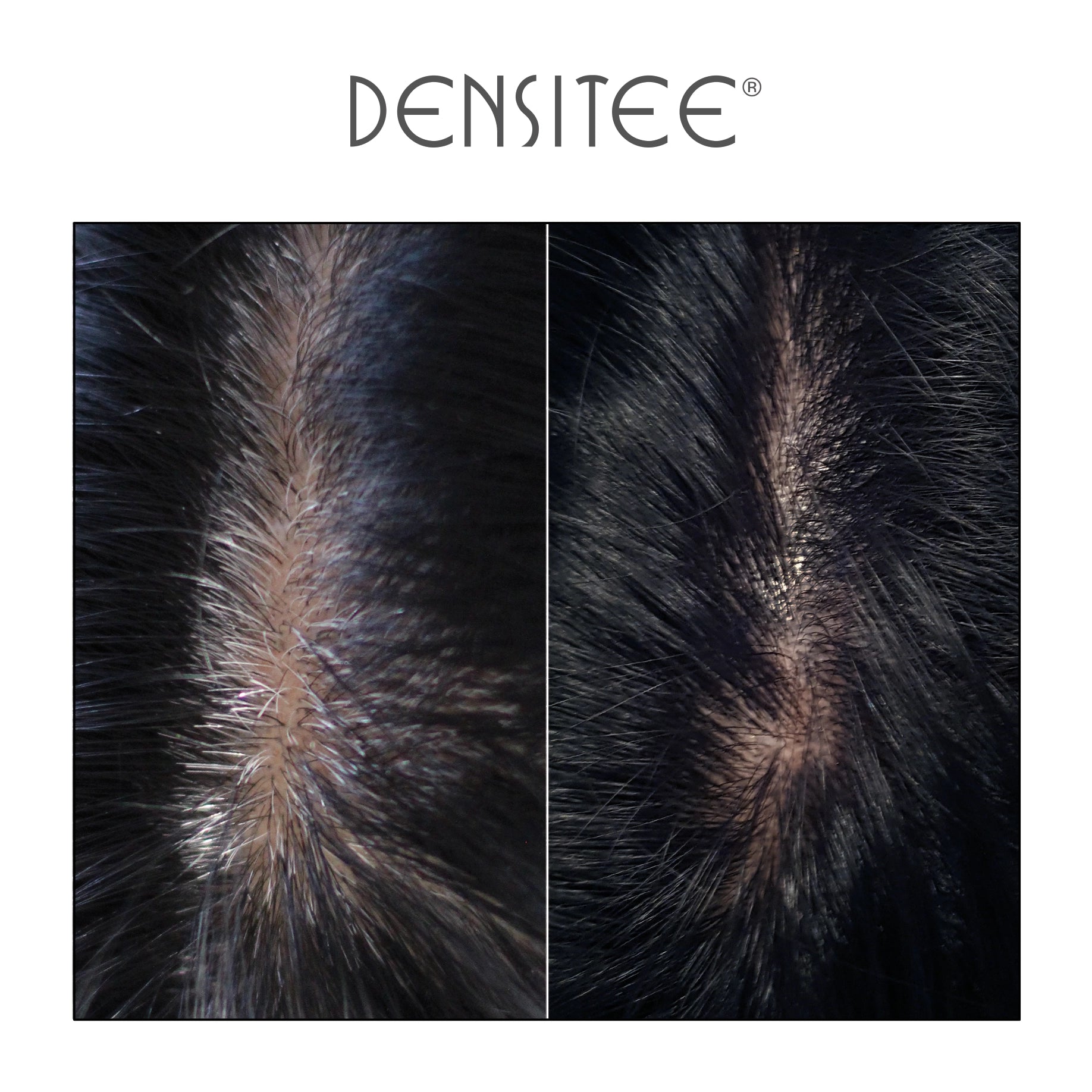 Poudre Densifiante Cheveux