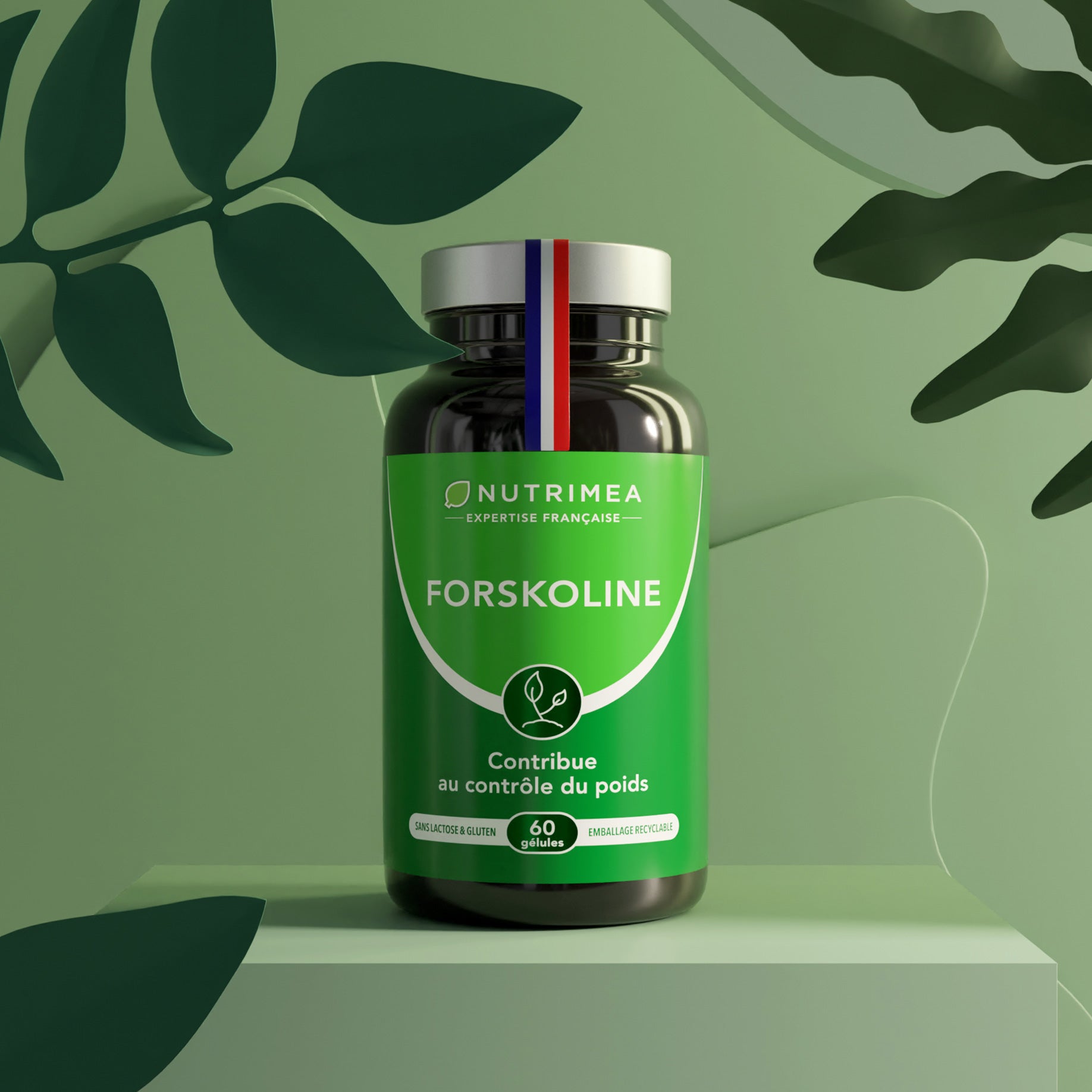 Forskoline | Coleus Forskohlii en complément alimentaire