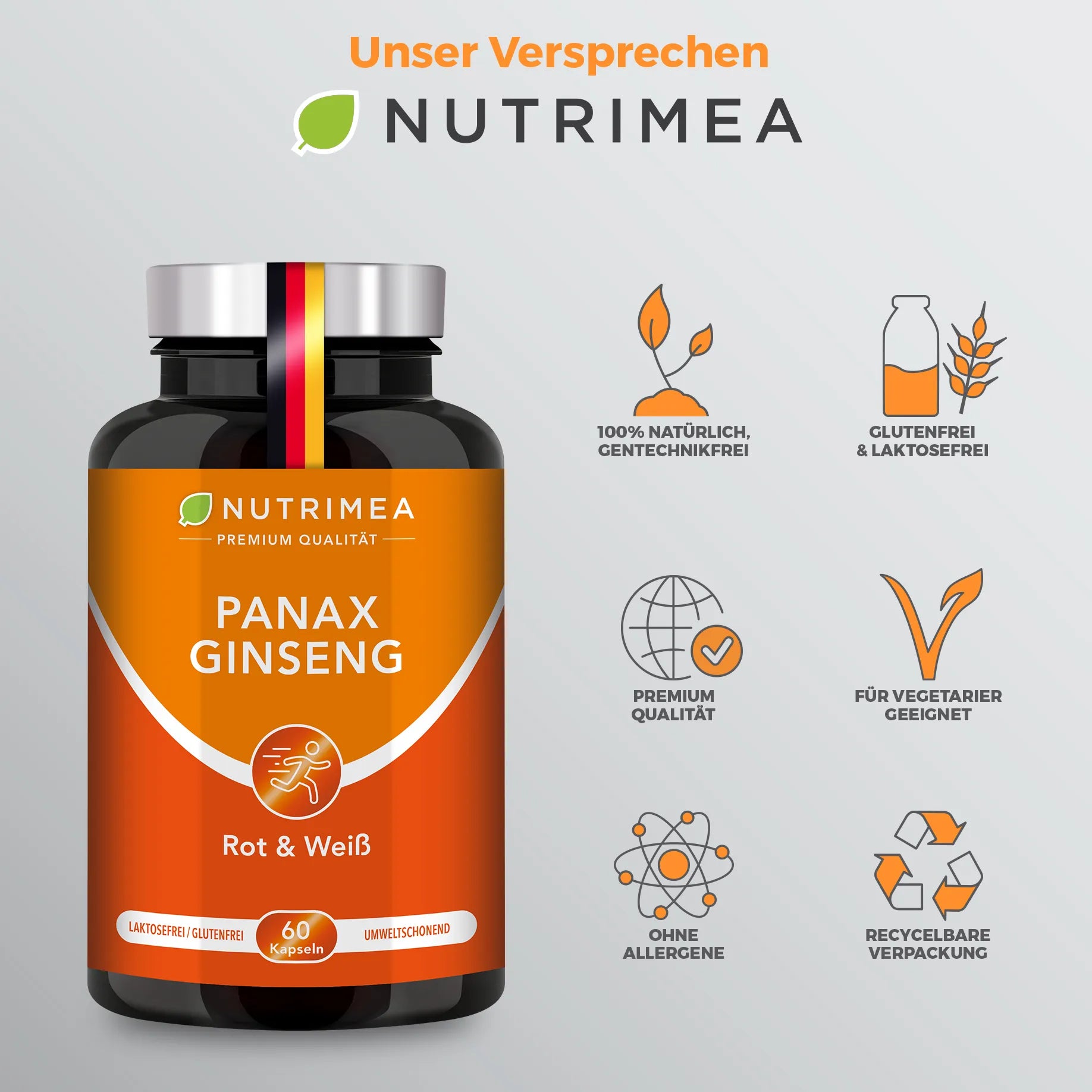 Panax Ginseng
