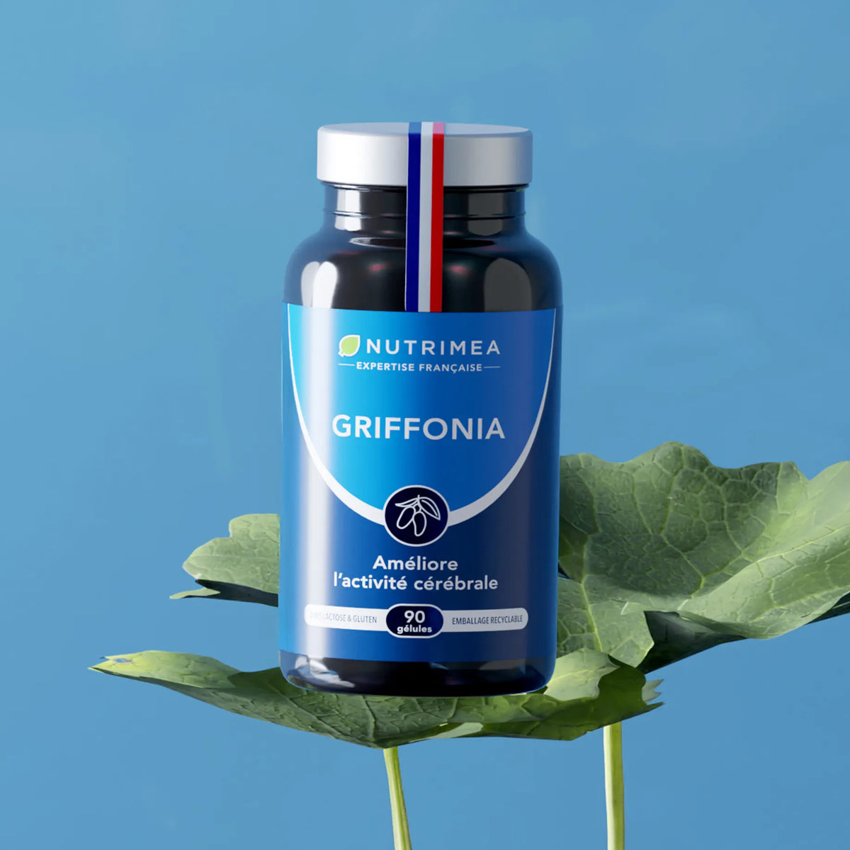 Griffonia Simplicifolia - 5 HTP en complément alimentaire