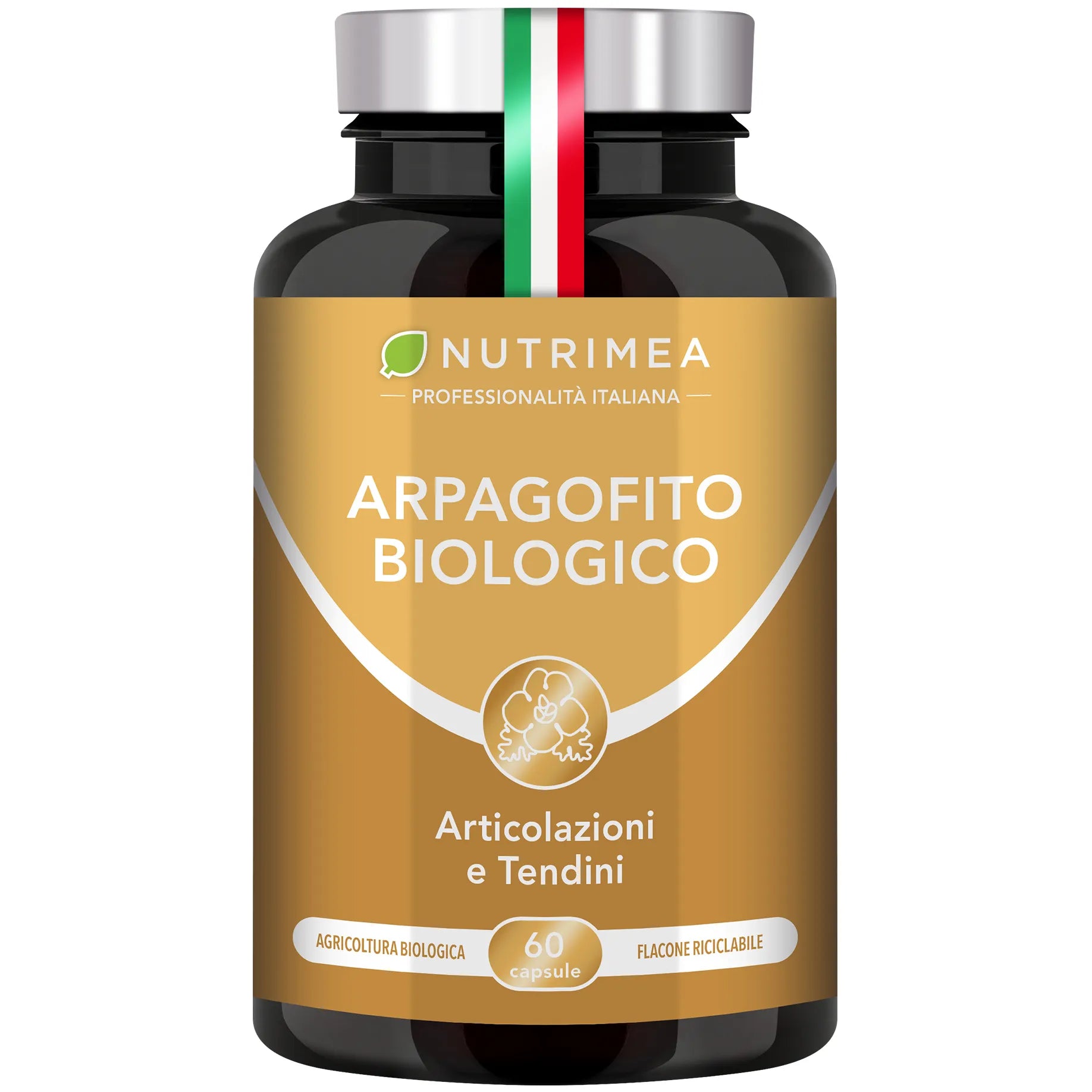 Fondo bianco del Arpagofito Biologico
