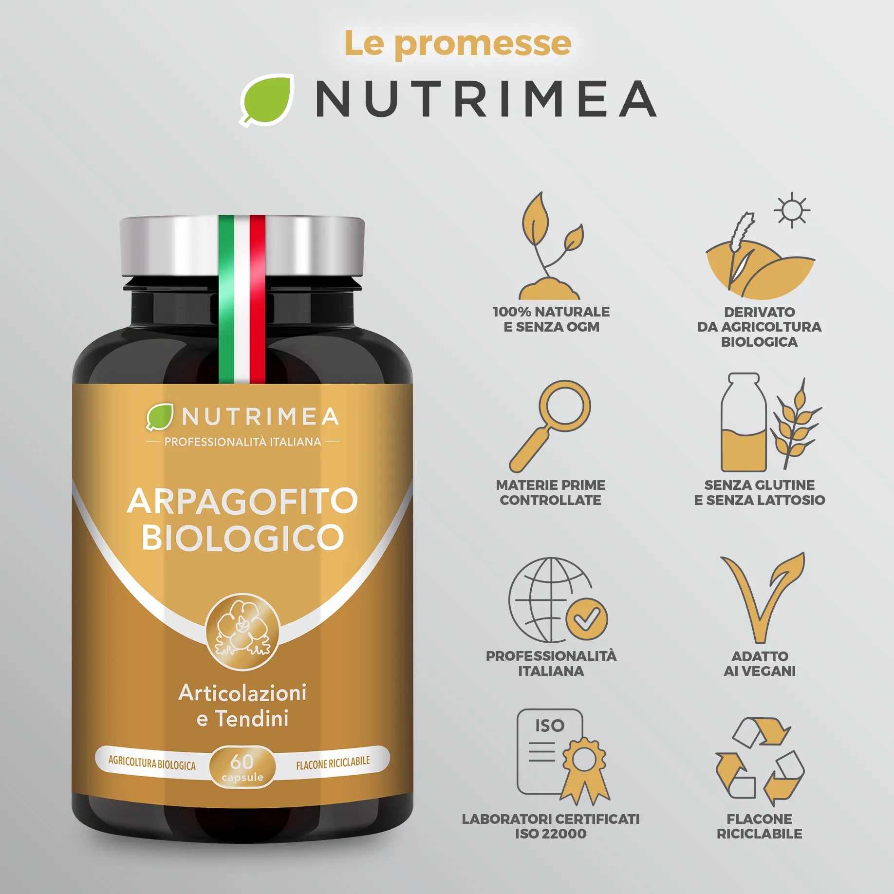 Arpagofito Biologico