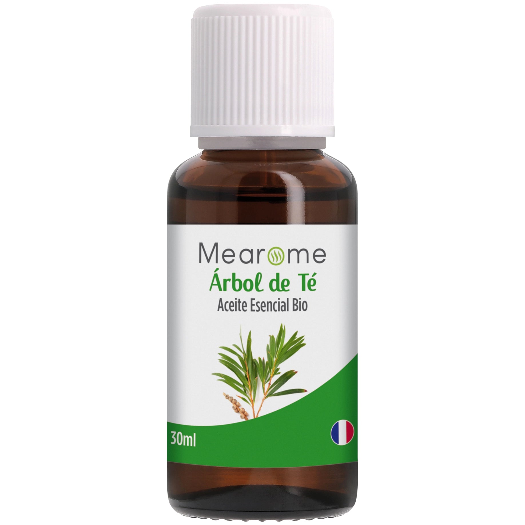 Árbol de Té