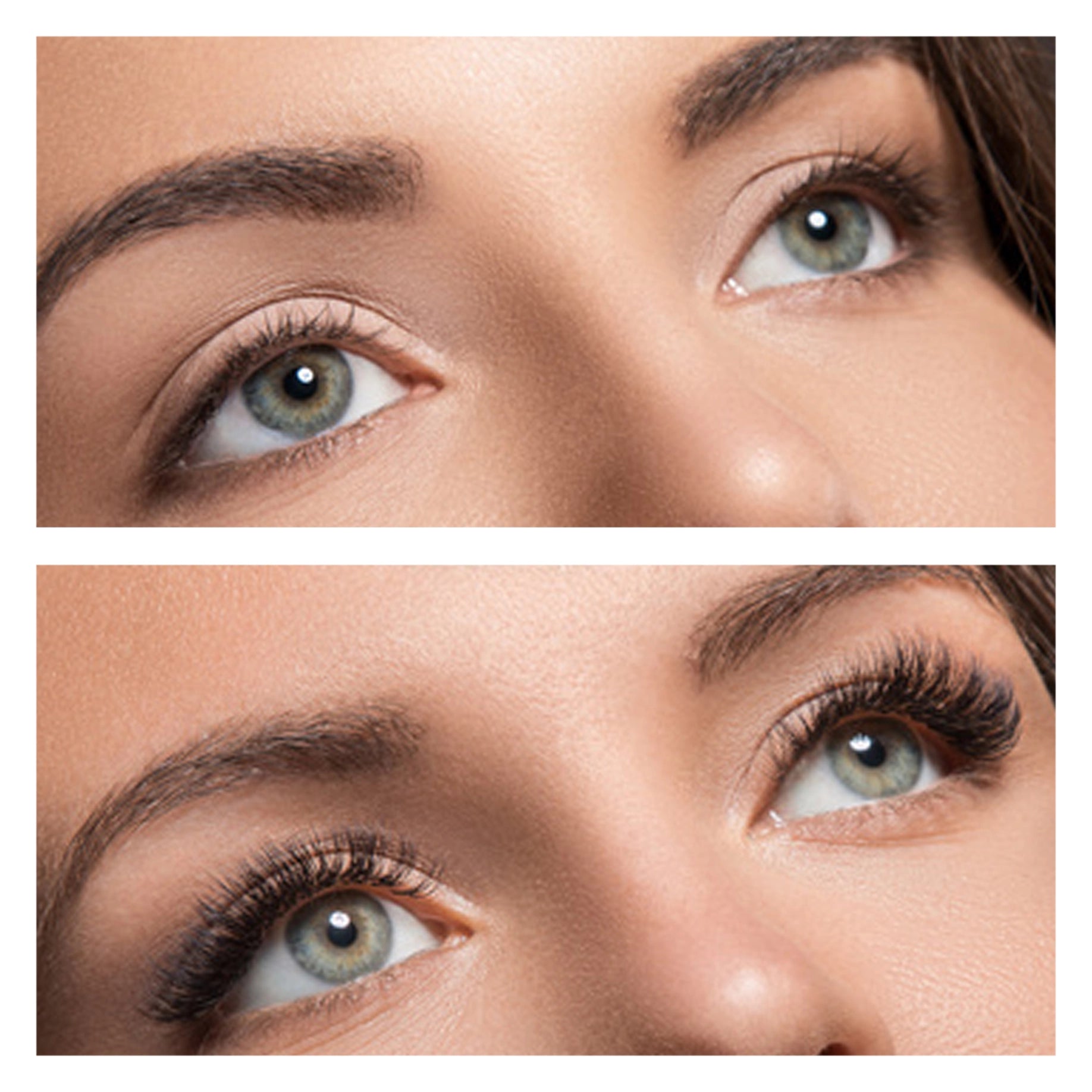 Mealash - Sérum Sublimateur de Cils