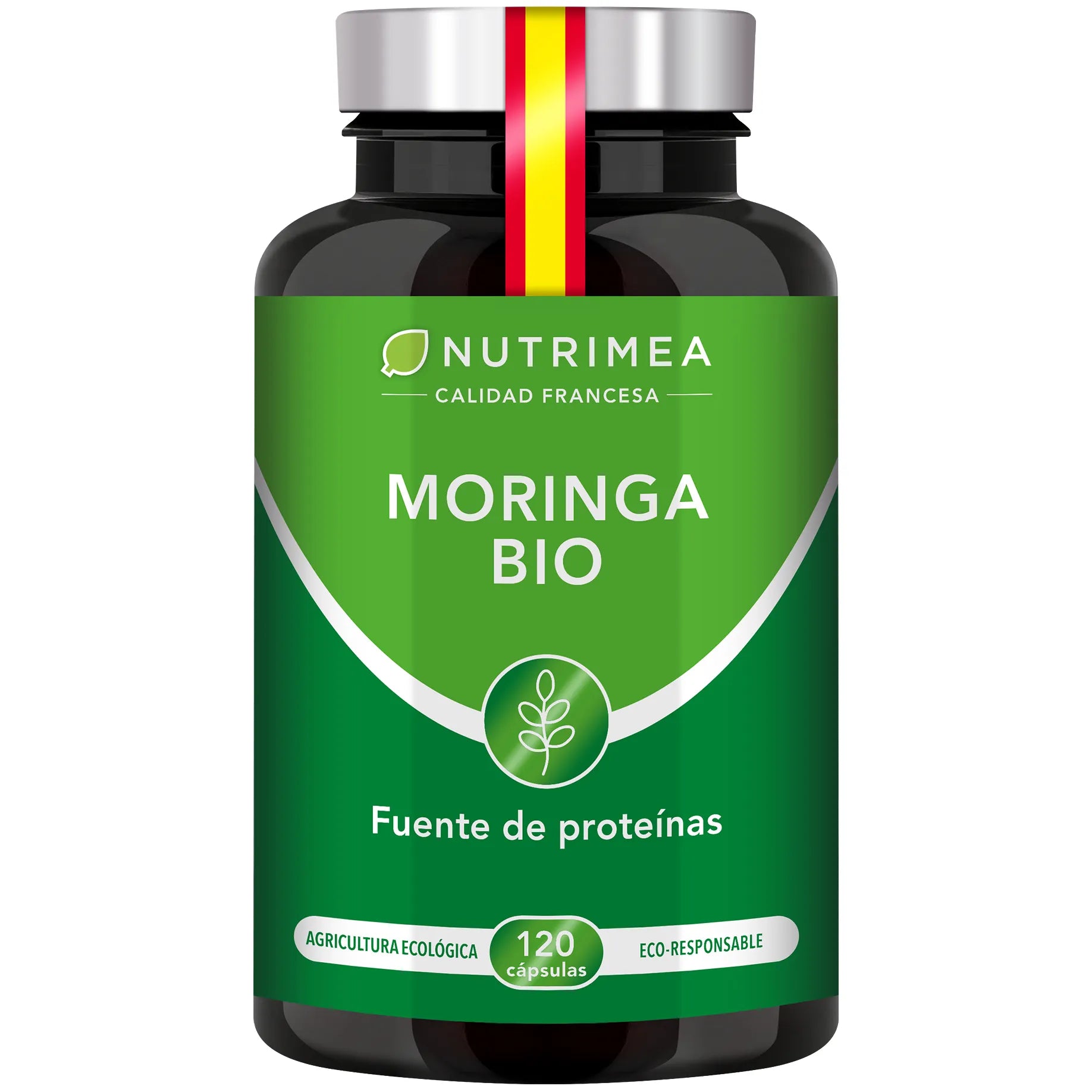 Moringa Oleifera Bio