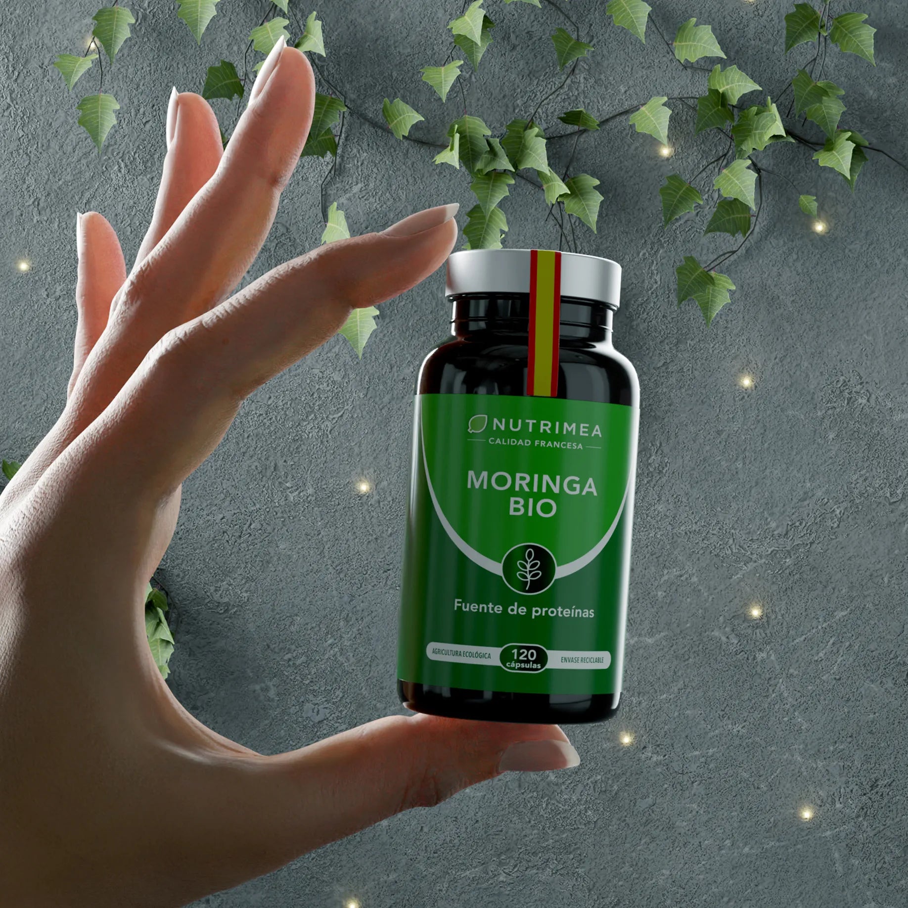 Moringa Oleifera Bio