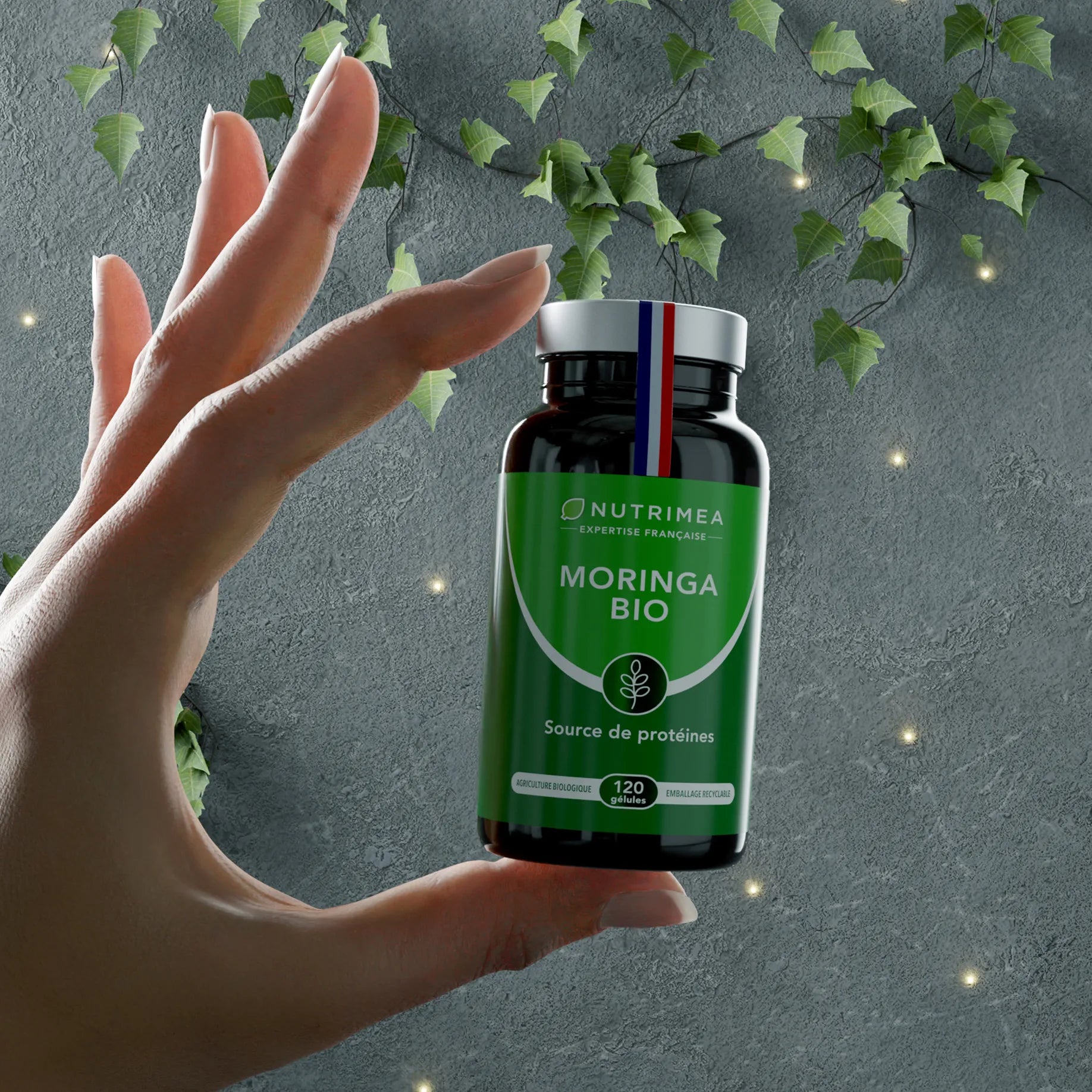 Moringa Oleifera Bio en complément alimentaire