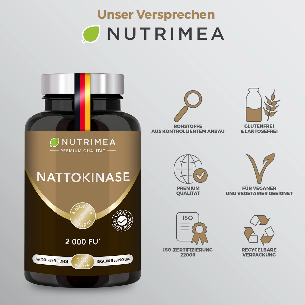 Nattokinase