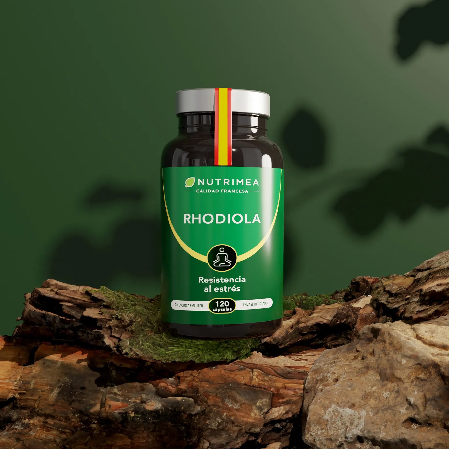 Rhodiola