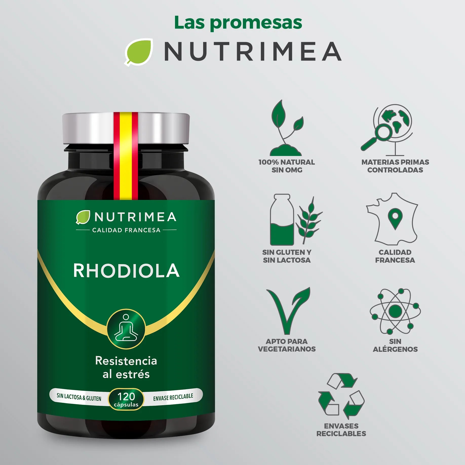 Rhodiola