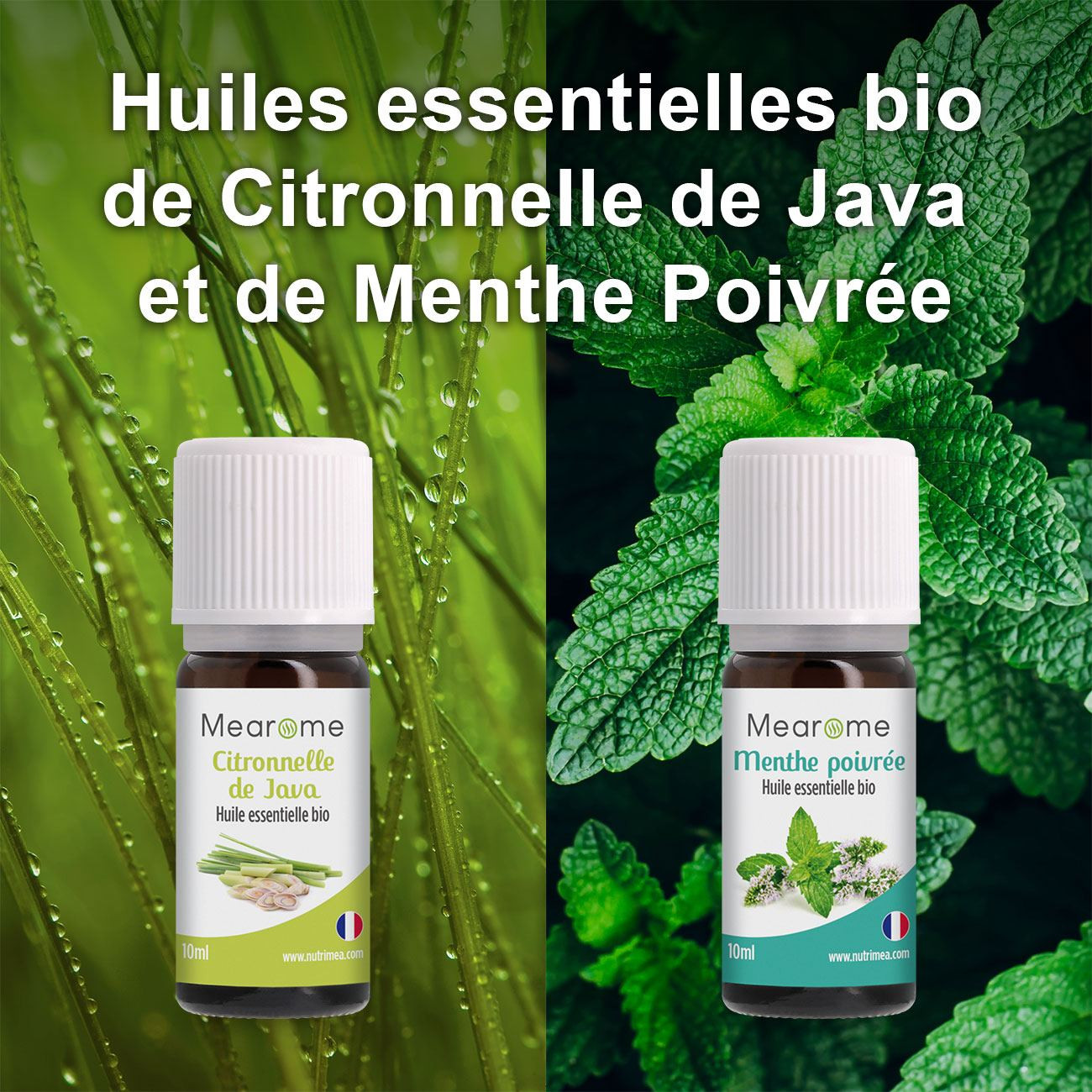 Coffret huiles essentielles Bio