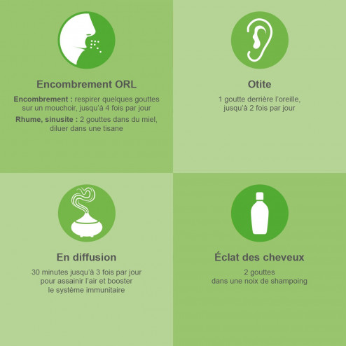 Image en situation de l'huile essentielle EUCALYPTUS RADIATA - Huile Essentielle Bio AB 30 ml