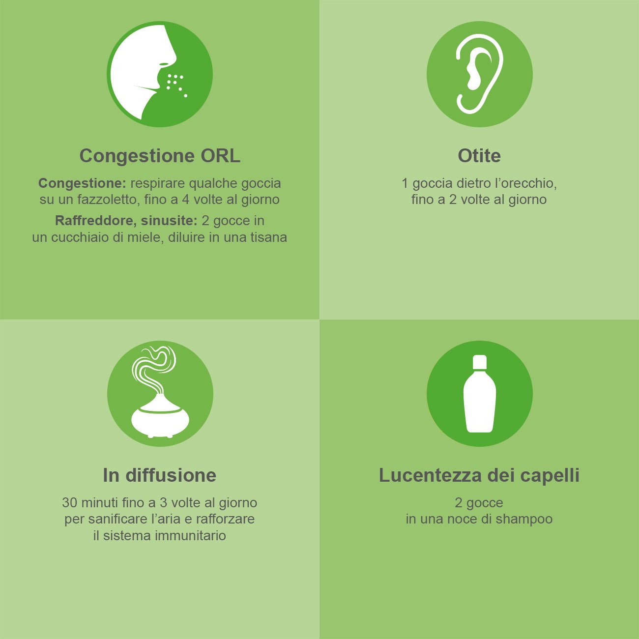 Foto dell'Olio essenziale Eucalipto Radiata Foto dell'Olio essenziale Eucalipto Radiata