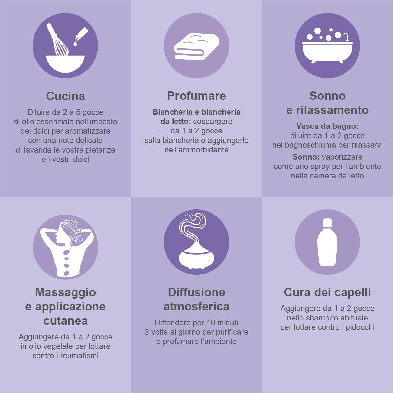 Illustrazione del portapillole dell'Olio essenziale Lavanda Illustrazione del portapillole dell'Olio essenziale Lavanda