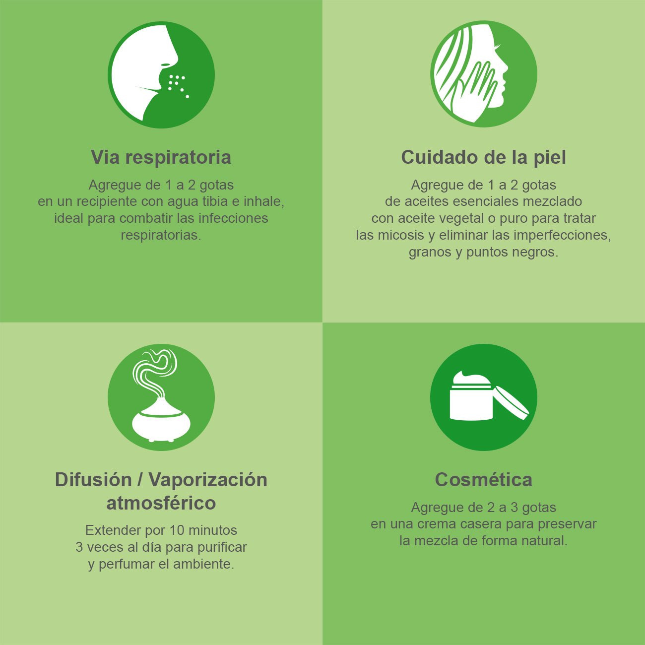 Imagen del Aceites Esenciales Árbol de Té Imagen del Aceites Esenciales Árbol de Té