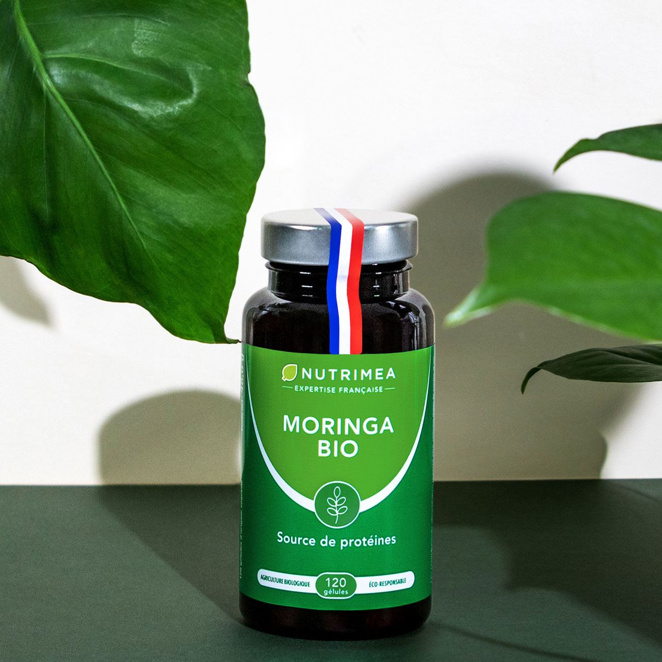 Illustration du pilulier du supplément Moringa Oleifera Bio Illustration du pilulier du supplément Moringa Oleifera Bio