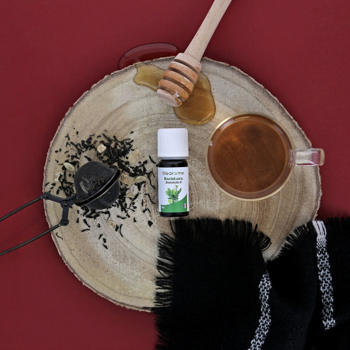 Foto von ätherischem Bio-Ravintsara-Öl auf einer Baumrinde