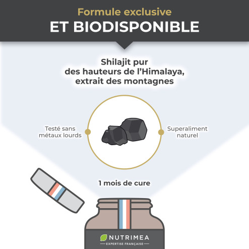 Biodisponibilité du Shilajit