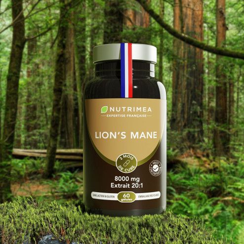Photo Lion's Mane complément alimentaire