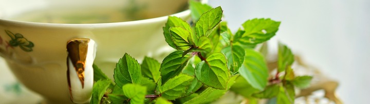 Les plantes permettent d'améliorer la digestion