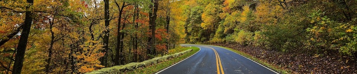 Vaincre le mal des transports naturellement, Conseil