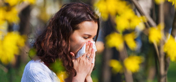 Le printemps est, pour les personnes allergiques, une mauvaise saison, qui s'accompagne de rhinite allergique, conjonctivite et autres maux liés à l'allergie au pollen.