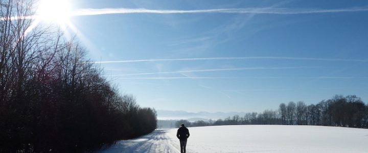 COVID-19 : pourquoi avoir recours à la Vitamine D ? la vitamine d protectrice du covid