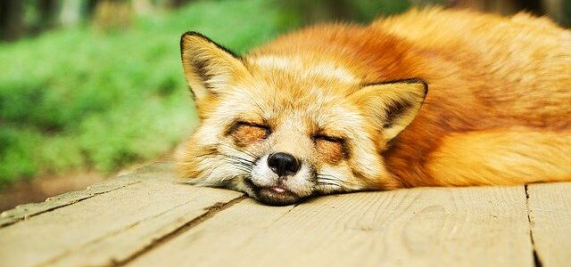 6 consejos para dormir bien por la noche 6 consejos para dormir bien por la noche