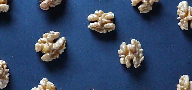 Die Wirkung von Omega-3-Fettsäuren auf Ihr Gehirn