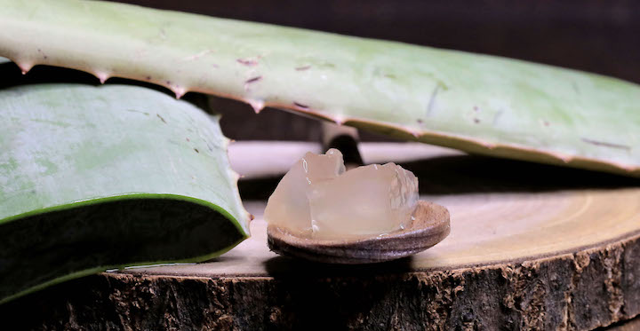 Aloe Vera