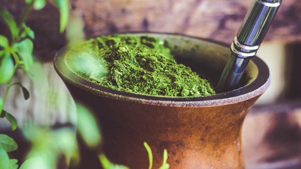 Yerba Mate Puder