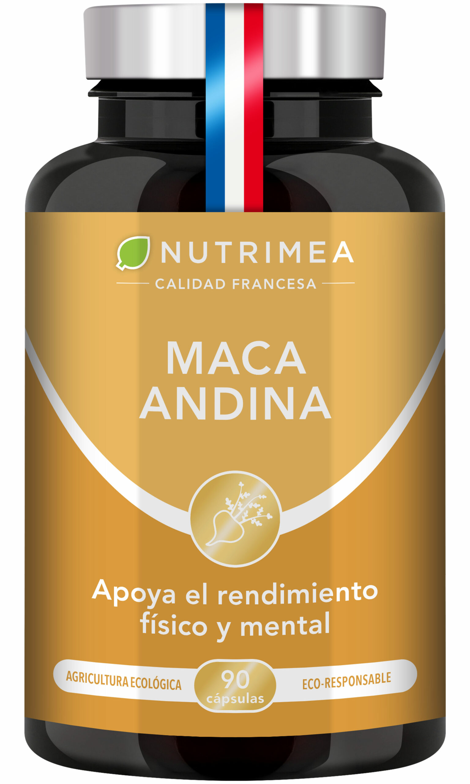 Maca Andina