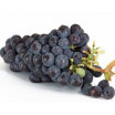 Resveratrol: beneficios