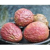 Maracuja
