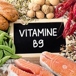 Vitamina B9 (Ácido Fólico)