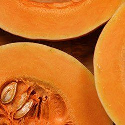 Haute qualité d'alimentation en huile de graines de citrouille