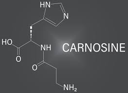 Carnosine