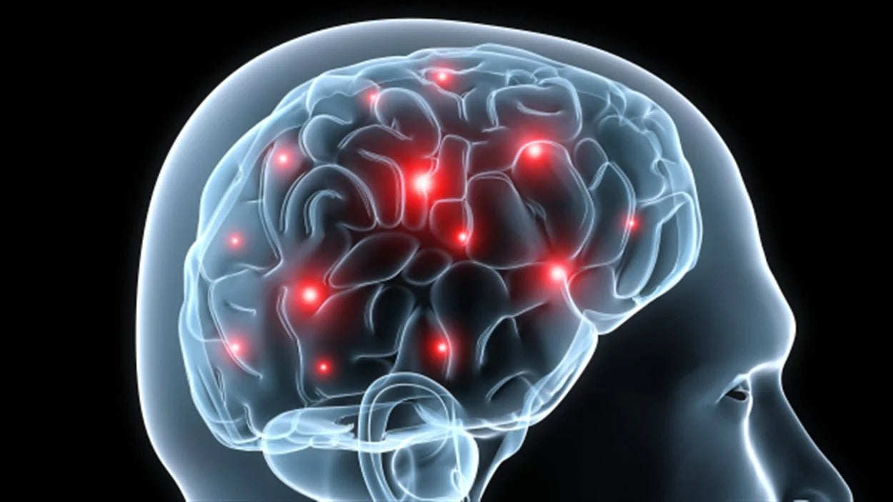 Fer bisglycinate et fonctions cognitives : mécanismes et effets